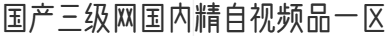 国产三级网国内精自视频品一区
